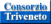 Consorzio Triveneto