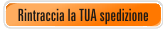 Rintraccia la Tua spedizione