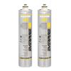 Everpure BH (set 2 filtri - cod. 9611-00)